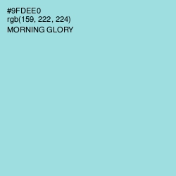 #9FDEE0 - Morning Glory Color Image